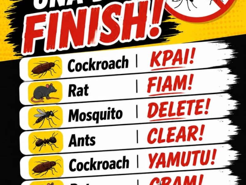 pest-control-odourless-fumigation-small-2