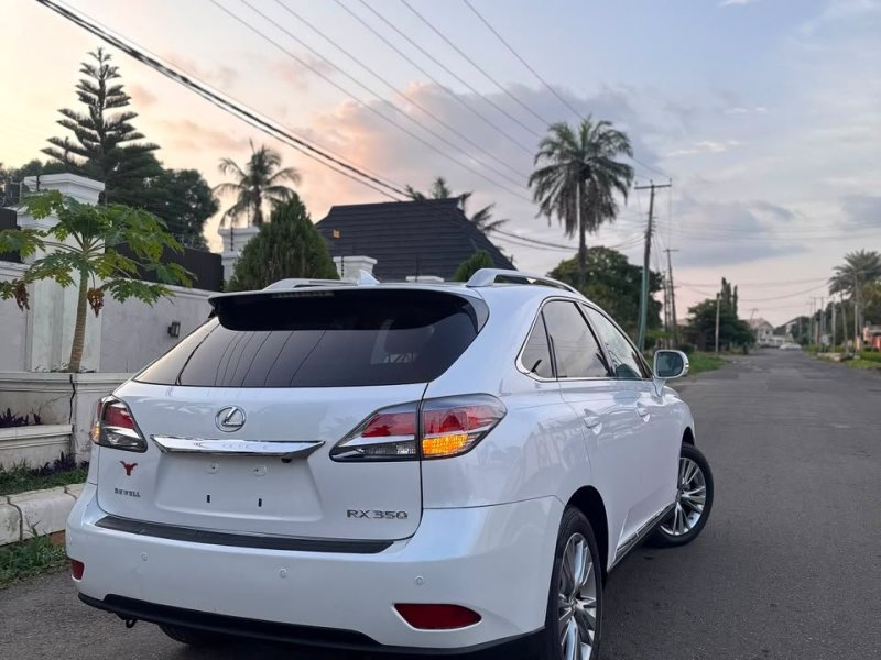 lexus-rx-small-1